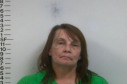PEARSON, DONNITA MISHELLE - POSS OF SCH V, METH FREE TENNESSEE DRUG ACT