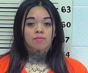 THINOI, HAIDIE BAUTISTA - FIREARM DURING COMMISSION FELONY, M:D:S CONT SUBS, POSS METH