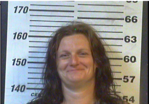 EILEEN NORRIS - DUI, MAN:DEL:SELL:POSS METH, DRIVING ON REVOKED:SUSPENDED LICENSE