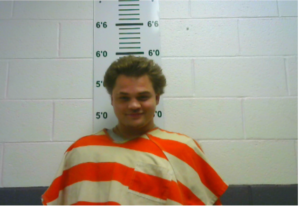 GABRIEL HESSON - HOLDING FOR OTHER CO. ON WARRANT