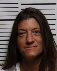 HOLLY DALTON - DRIVING ON SUSPENDED LICENSE, CONTRABAND IN PENAL INSTITUTION, POSS OF SCH III CONTROLLED SUBSTANCE