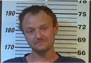 JEREMY DAVIS - THEFT OF PROPRTY, DRIVING ON SUSPENDED:REVOKED LICENSE, MAN:DEL:SELL: POSS METH