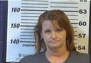 TINA LEWIS - MAN:DEL:SELL:POSS METH, THEFT OF PROPERTY