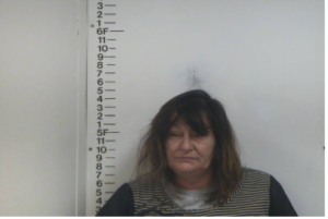 SHERRY ROBERTS - SEXUAL BATTERY, DRIVING ON REVOKED:SUSPENDED LICENSE