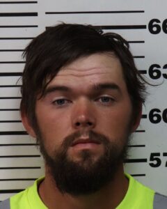WESLEY CARR - DUI, DRIVING ON REVOKED:SUSPENDED LICENSE