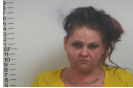 Angie Taylor - Shoplifting:Theft of Property, Criminal Trespassing, Man:Del:Sell Controlled Substance
