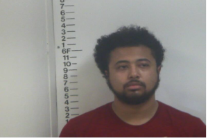 DEMETRIUS JOHNSON - CRIMINAL IMPERSONATION, MFG:DEL:SELL CONTROLLED SUBSTANCE