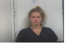 Haley Walker - GS Capias, Theft of Property, Fraudulent Use of Credit Card, Auto Burglary