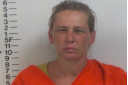 Mary Wilmoth - Domestic Assault, Aggravated Criminal Trespass, Resisting Arrest, Public Intoxication