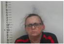 Sandra Fisher - Simple Possession, Meth Free TN Drug Act, Driving on Revoked:Suspended License