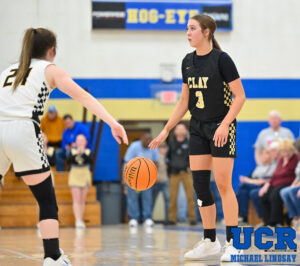 PickettClayGirlsBBDistrictWM-12