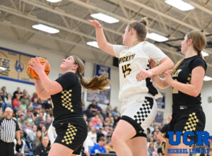 PickettClayGirlsBBDistrictWM-16